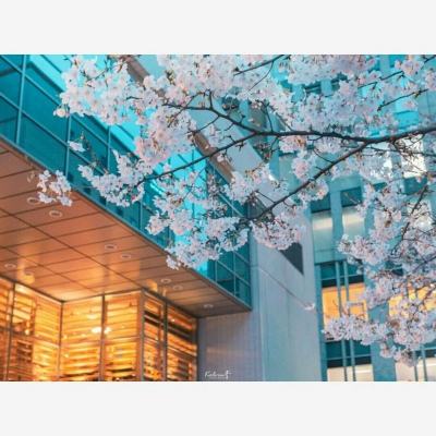 Kaiyun(云开)体育App下载手机版